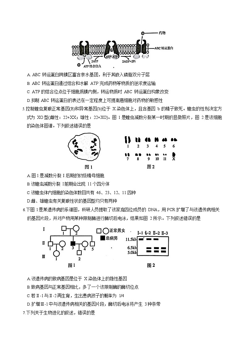 2025-2026学年江苏南京高三上学期9月月考考试生物试卷第2页