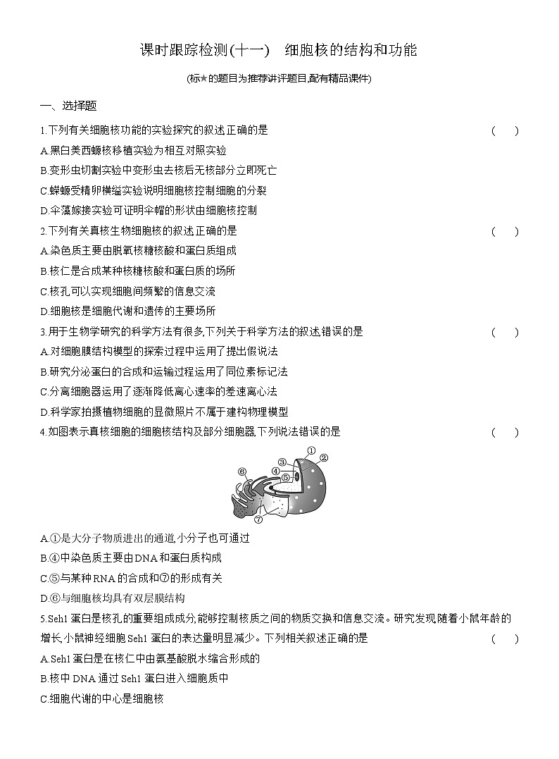 2025-2026学年高一生物（人教版）必修一课时跟踪检测（11）细胞核的结构和功能（Word版含解析）第1页