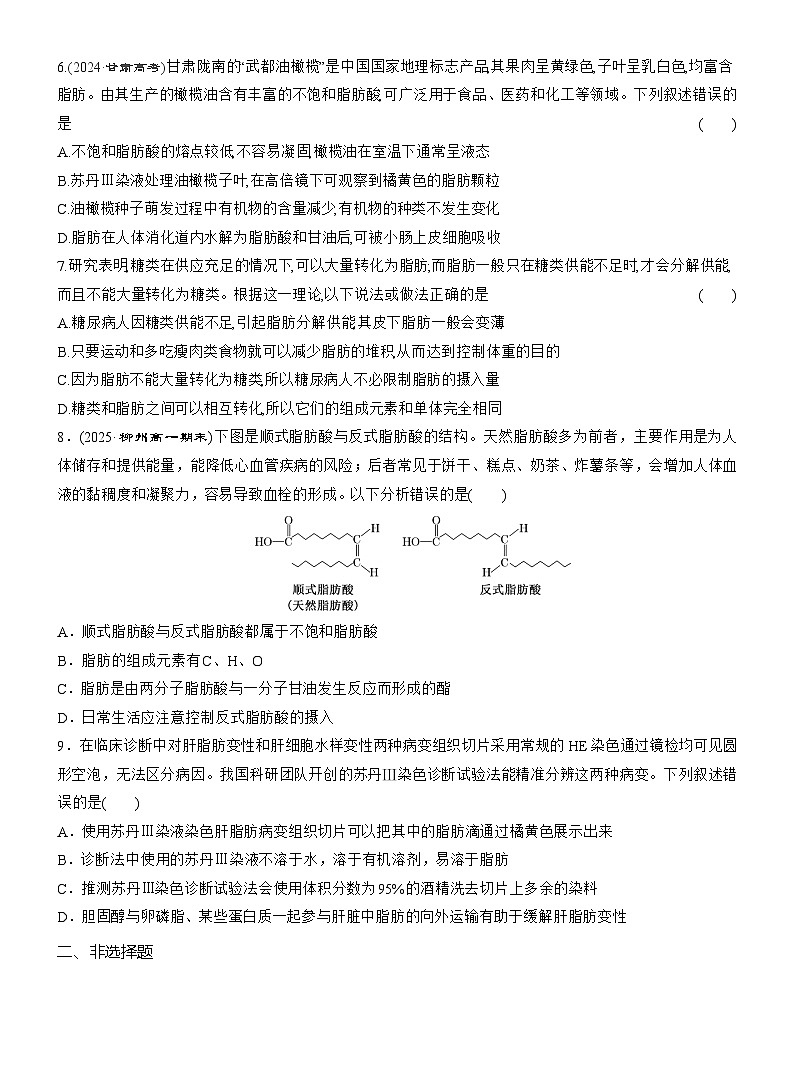 2025-2026学年高一生物（人教版）必修一课时跟踪检测（05）细胞中的糖类和脂质（Word版含解析）第2页