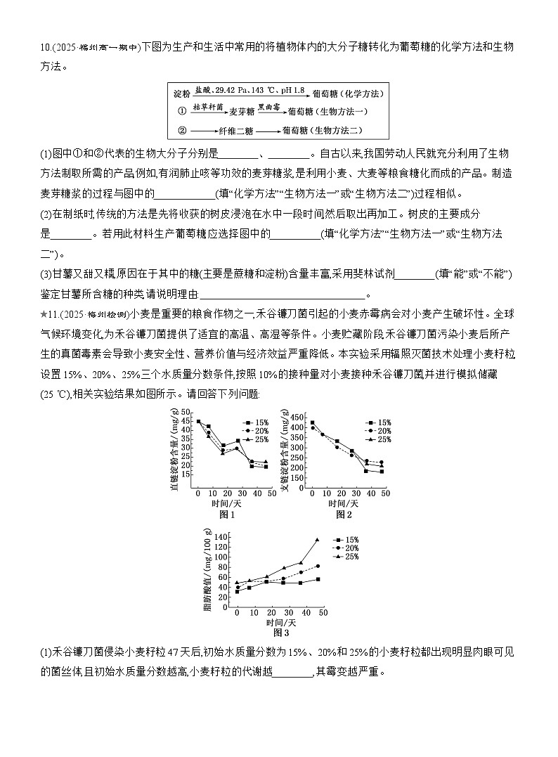 2025-2026学年高一生物（人教版）必修一课时跟踪检测（05）细胞中的糖类和脂质（Word版含解析）第3页