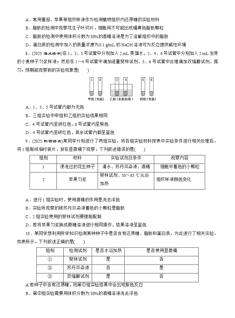 2025-2026学年高一生物（人教版）必修一课时跟踪检测（03）细胞中的元素和化合物（Word版含解析）第2页
