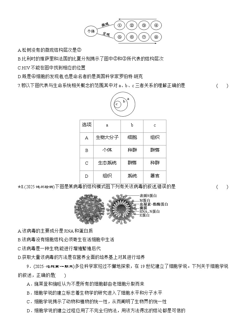 2025-2026学年高一生物（人教版）必修一课时跟踪检测（01）细胞是生命活动的基本单位（Word版含解析）第2页