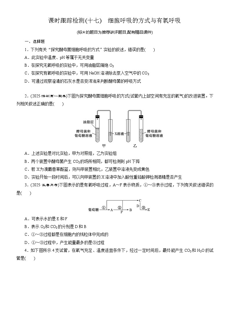 2025-2026学年高一生物（人教版）必修一课时跟踪检测（17）细胞呼吸的方式与有氧呼吸（Word版含解析）第1页