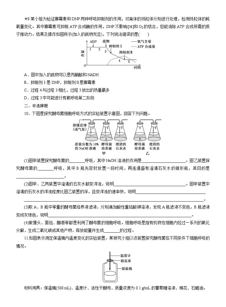2025-2026学年高一生物（人教版）必修一课时跟踪检测（17）细胞呼吸的方式与有氧呼吸（Word版含解析）第3页