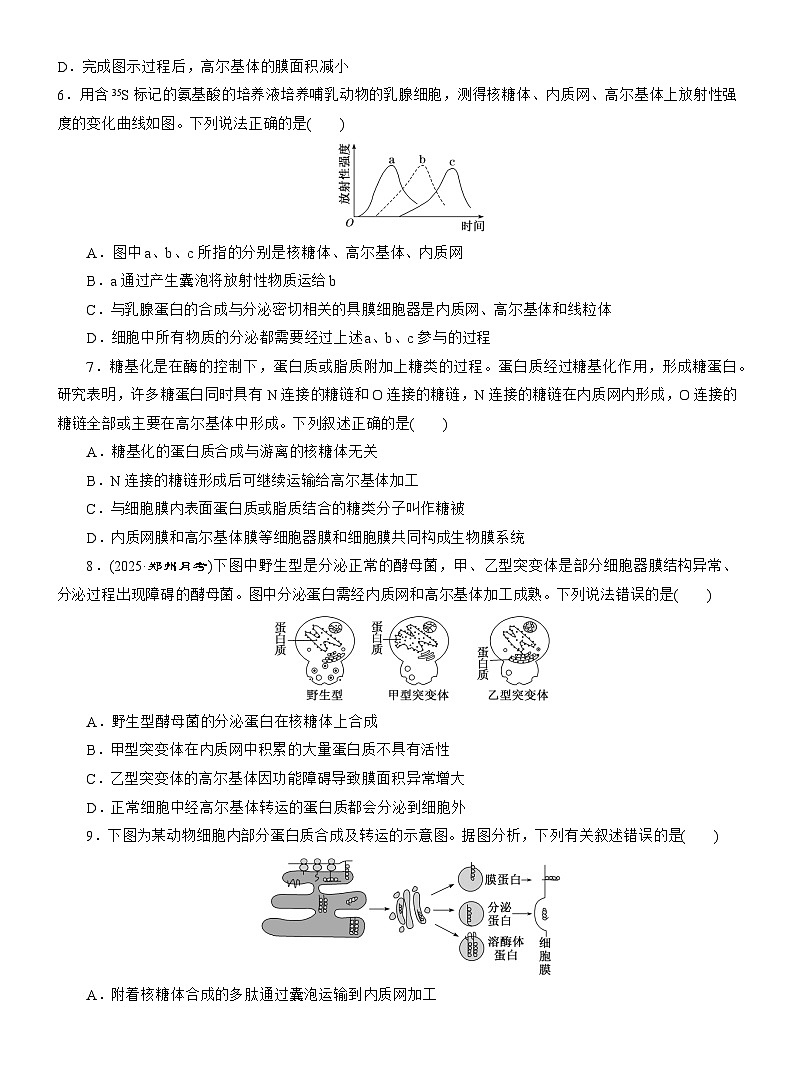 2025-2026学年高一生物（人教版）必修一课时跟踪检测（10）细胞器之间的协调配合（Word版含解析）第2页