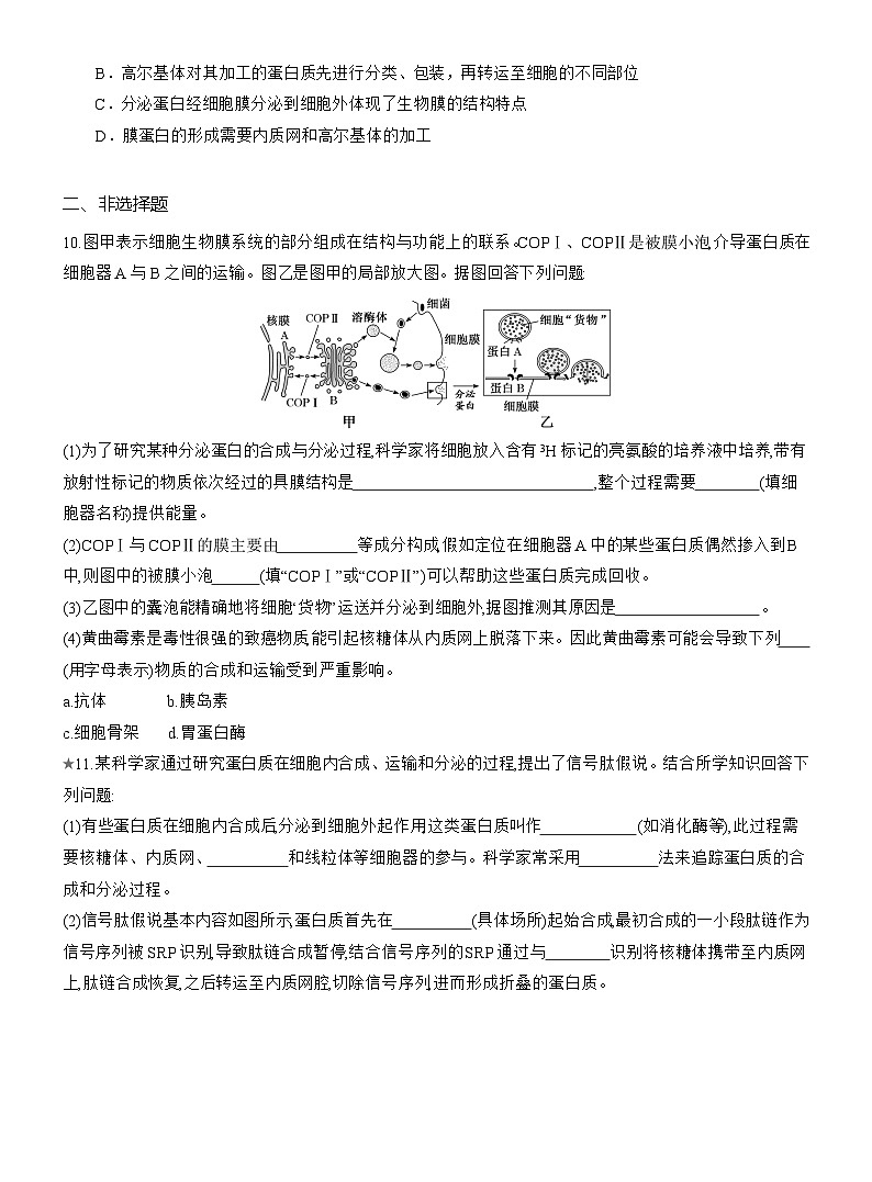 2025-2026学年高一生物（人教版）必修一课时跟踪检测（10）细胞器之间的协调配合（Word版含解析）第3页