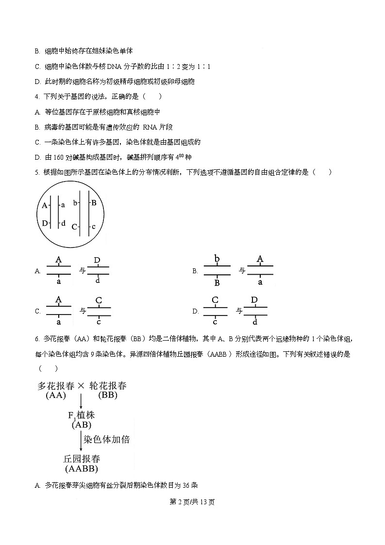 黑龙江省哈尔滨市第九中学校2025-2026学年高二上学期9月月考生物试卷  Word版无答案第2页