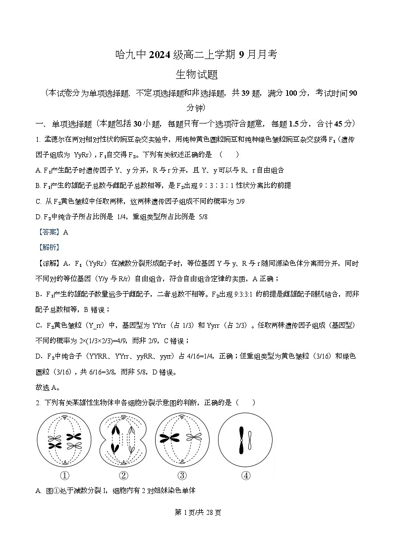 黑龙江省哈尔滨市第九中学校2025-2026学年高二上学期9月月考生物试卷  Word版含解析第1页