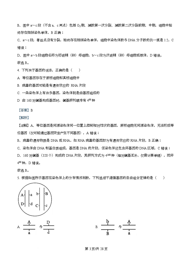 黑龙江省哈尔滨市第九中学校2025-2026学年高二上学期9月月考生物试卷  Word版含解析第3页