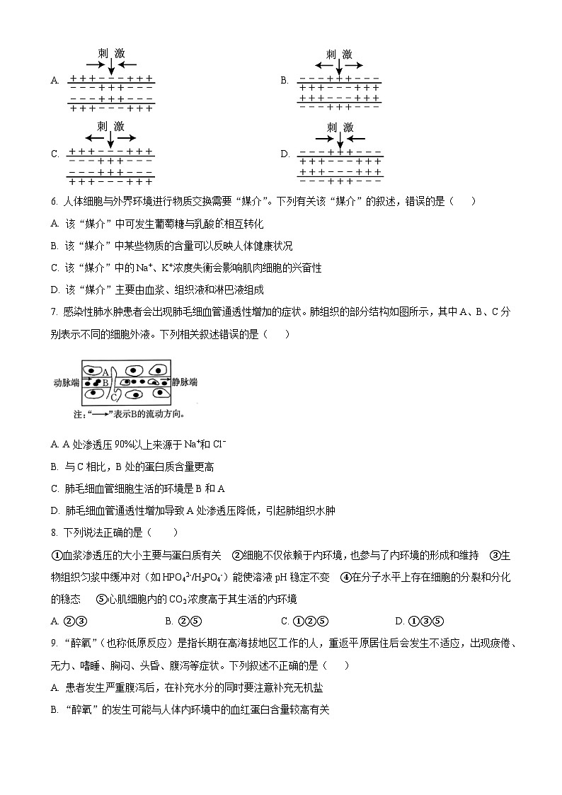 黑龙江省哈尔滨市第三中学校2025-2026学年高二上学期9月月考生物试题  Word版无答案第2页