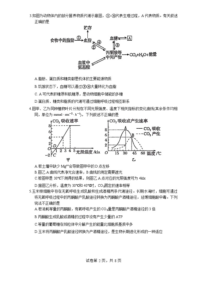 福建省厦门外国语学校2025-2026学年高三上学期9月月考生物试题第2页