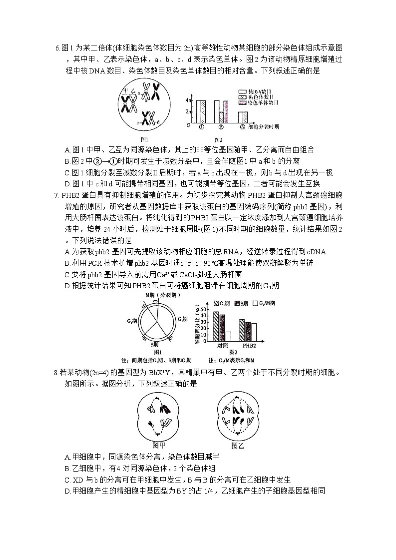 福建省厦门外国语学校2025-2026学年高三上学期9月月考生物试题第3页