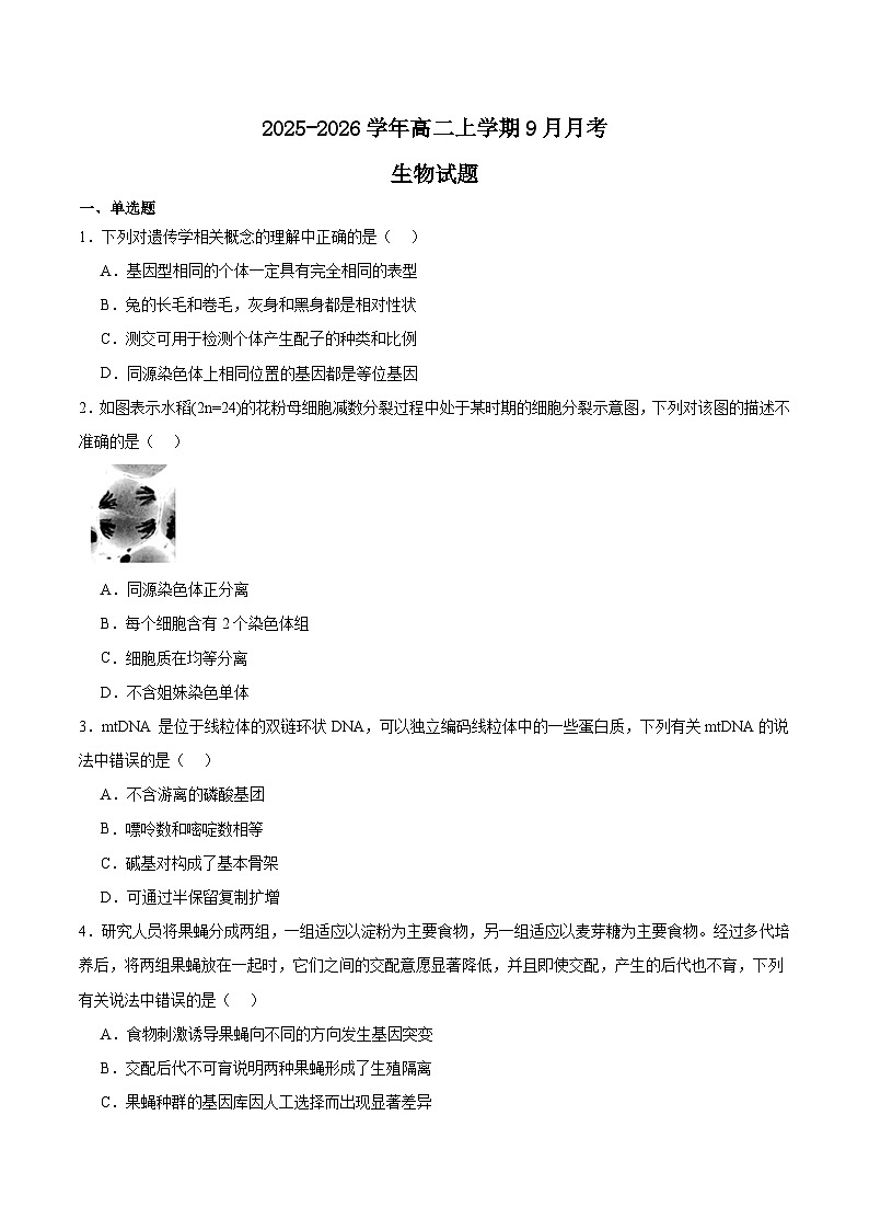 2026辽宁省点石联考高二上学期9月联合考试生物含答案第1页