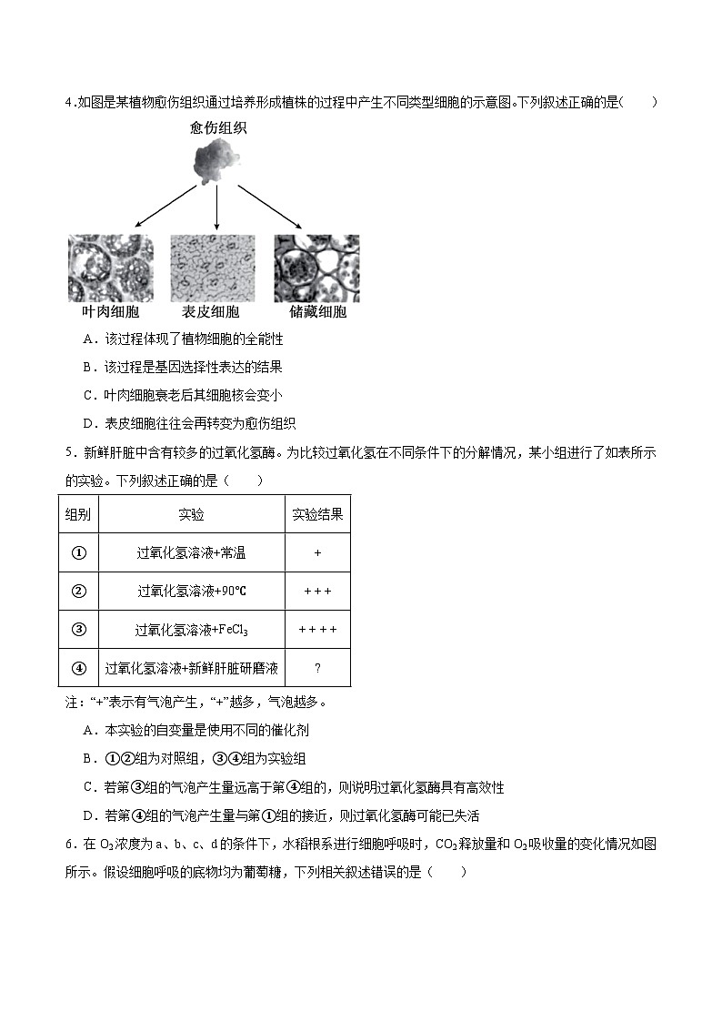 2026河南省部分学校高二上学期开学考试生物含答案第2页