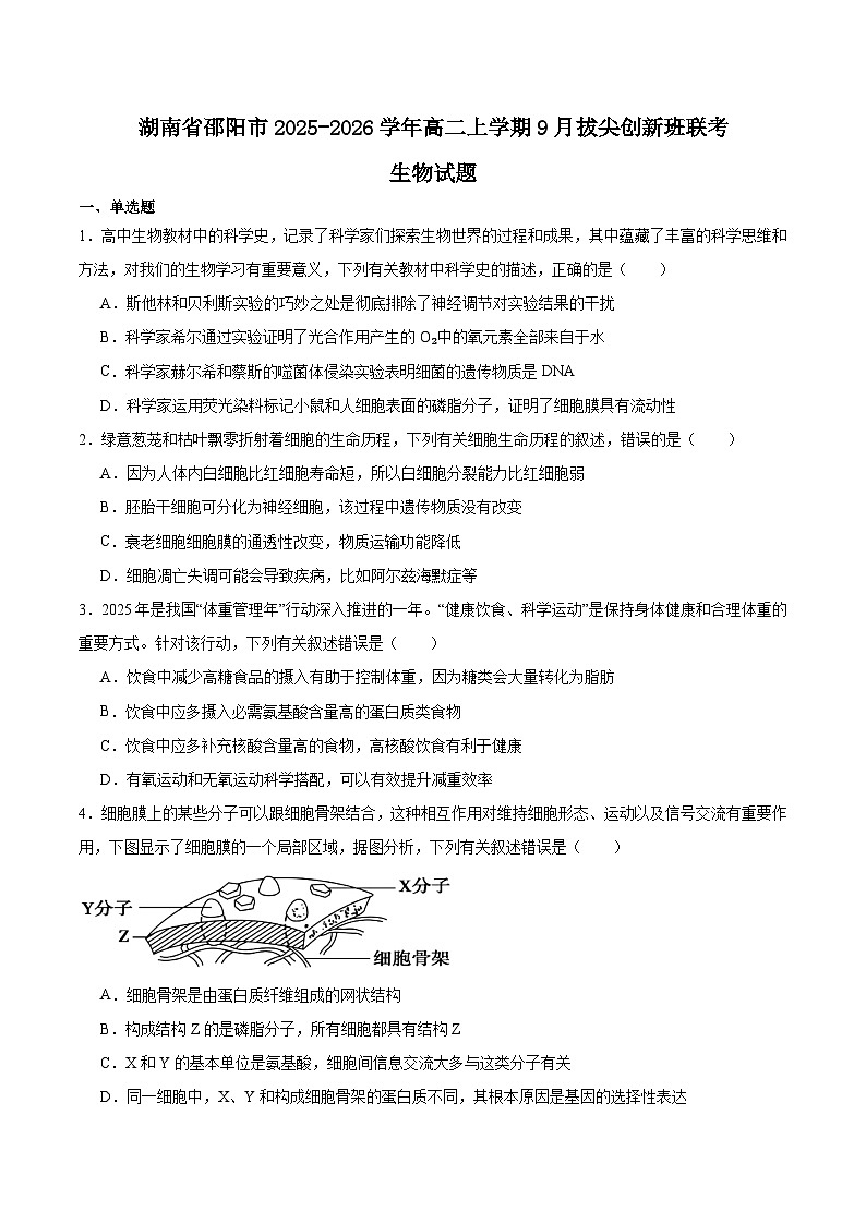 2026邵阳高二上学期9月拔尖联考试题（创新班）生物含答案第1页