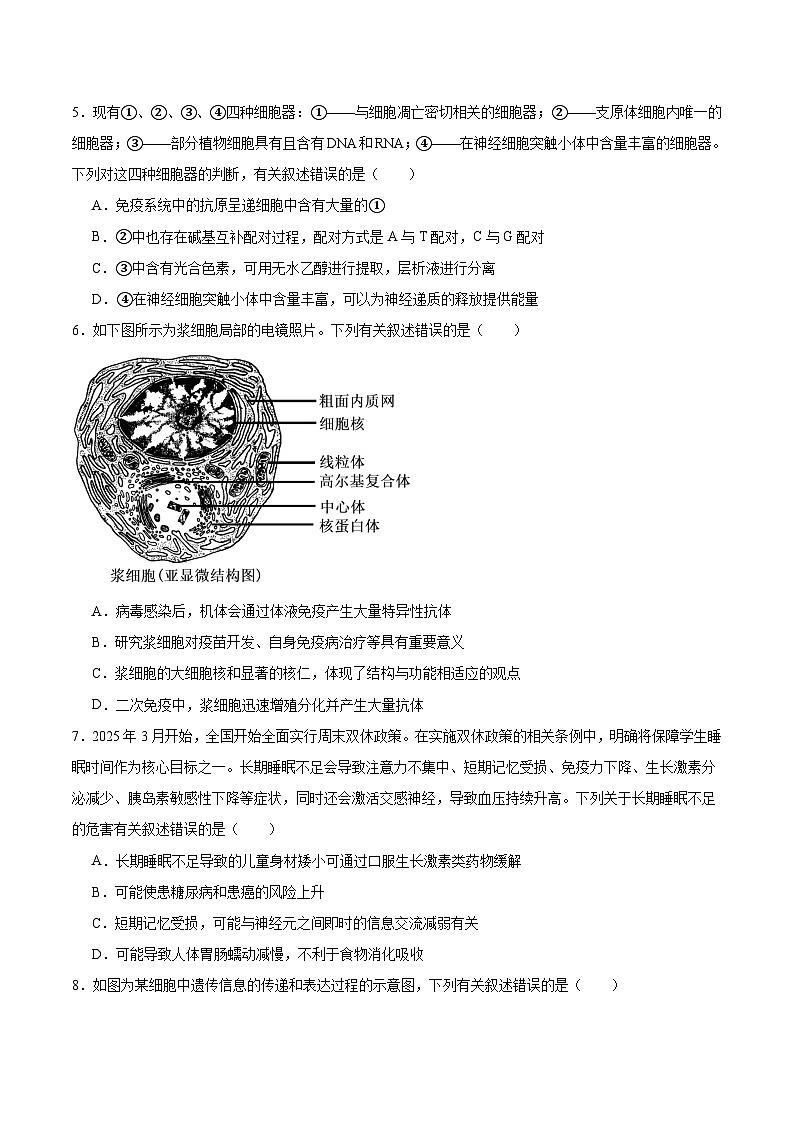 2026邵阳高二上学期9月拔尖联考试题（创新班）生物含答案第2页