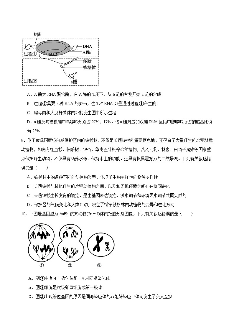 2026邵阳高二上学期9月拔尖联考试题（创新班）生物含答案第3页