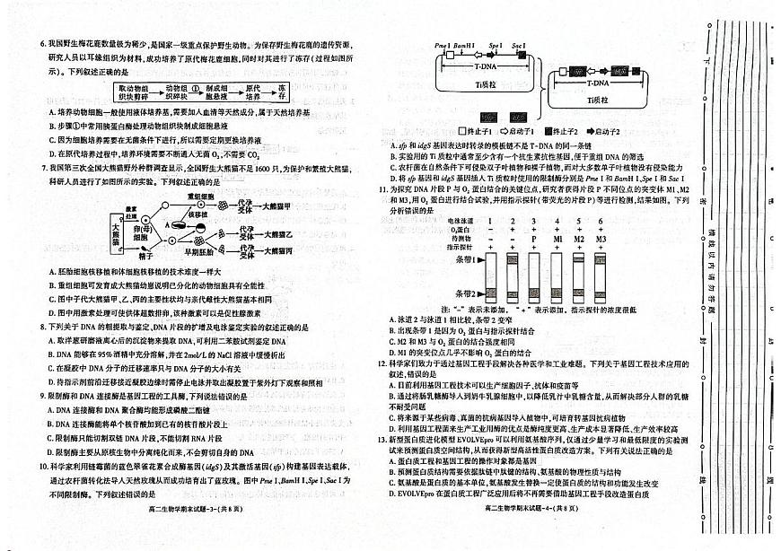陕西省西安市新城区2024-2025学年高二下学期7月期末生物试题（含答案）第2页