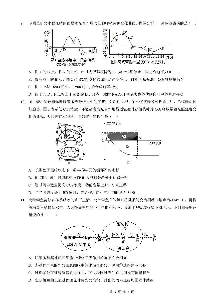 重庆实验外国语学校2026届高三上学期9月月考生物试题+答案第3页