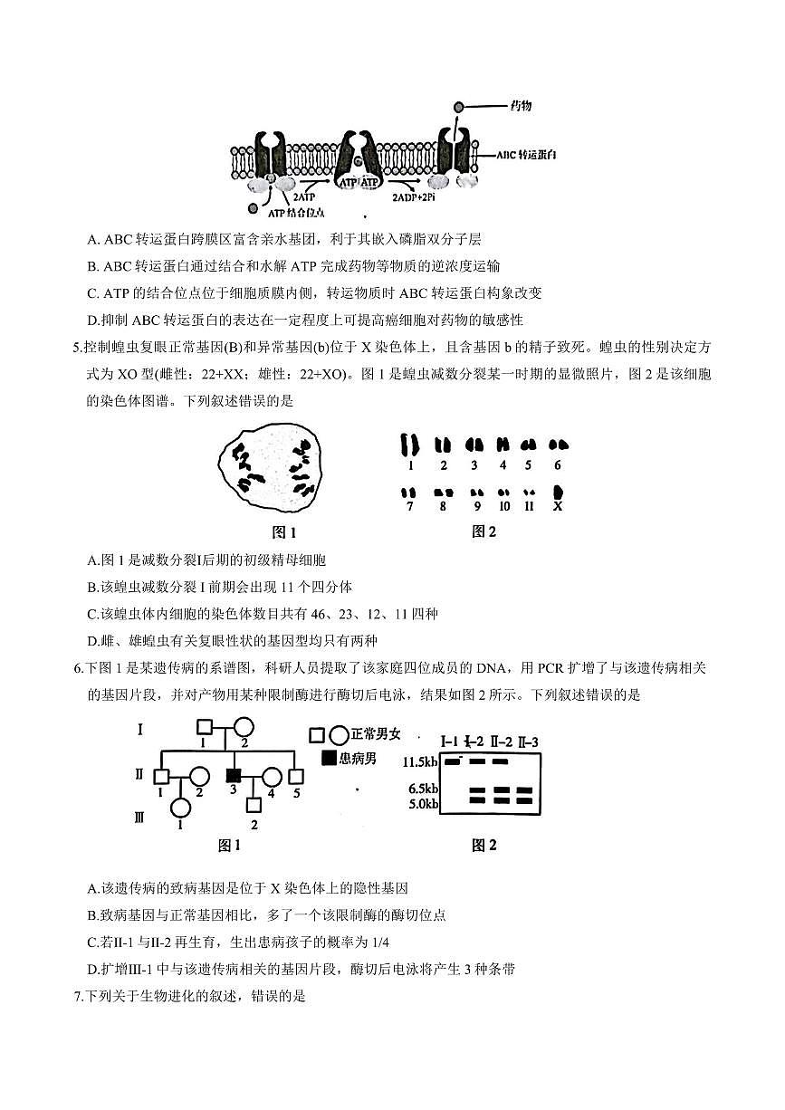 江苏省南京市2026届高三上学期9月零模学情调研-生物试题+答案第2页