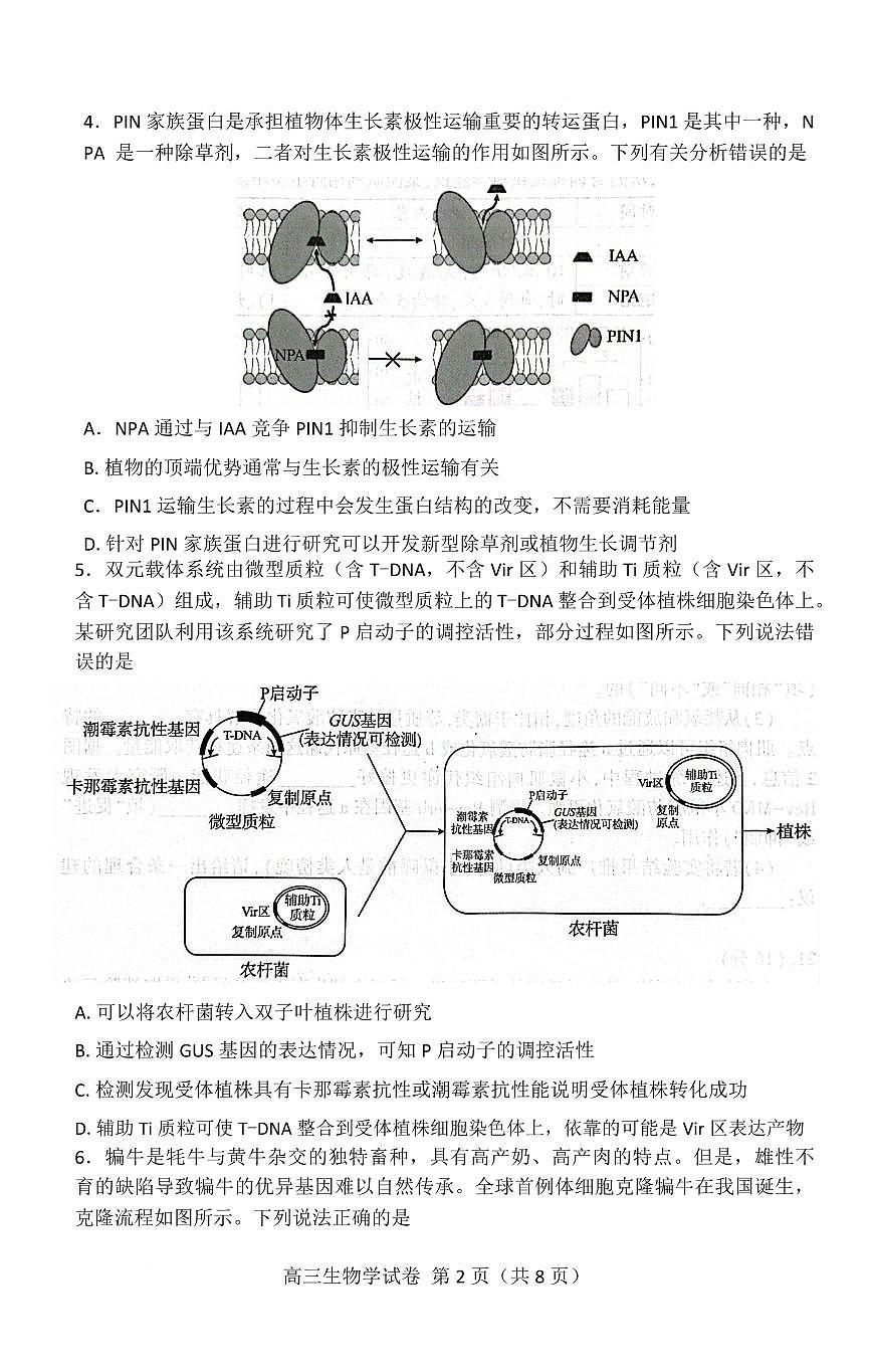 湖北省黄石&荆门&鄂州&咸宁&恩施2026届高三上学期9月起点考-生物试题+答案第2页