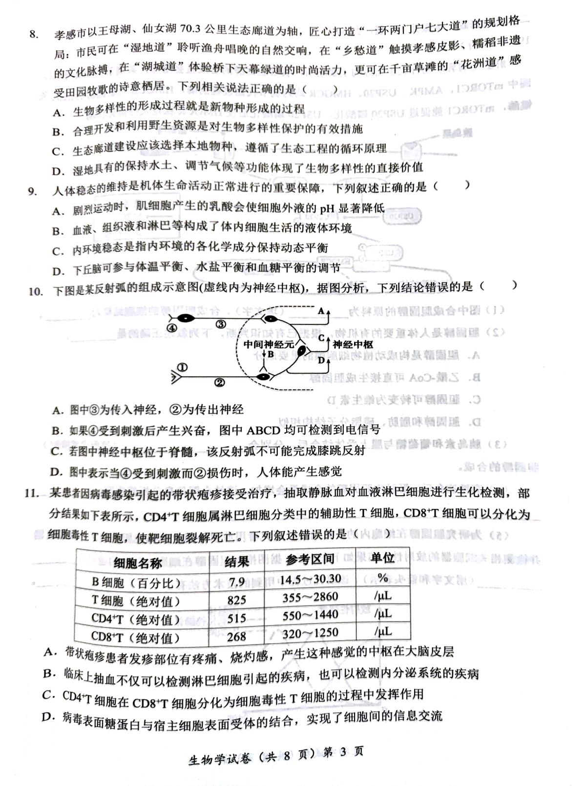 湖北省部分名校2026届高三上学期9月月考-生物试题无答案第3页
