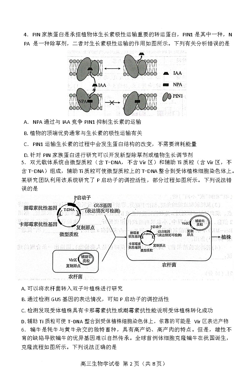 湖北省恩施2026届高三上学期9月起点考试+生物第2页