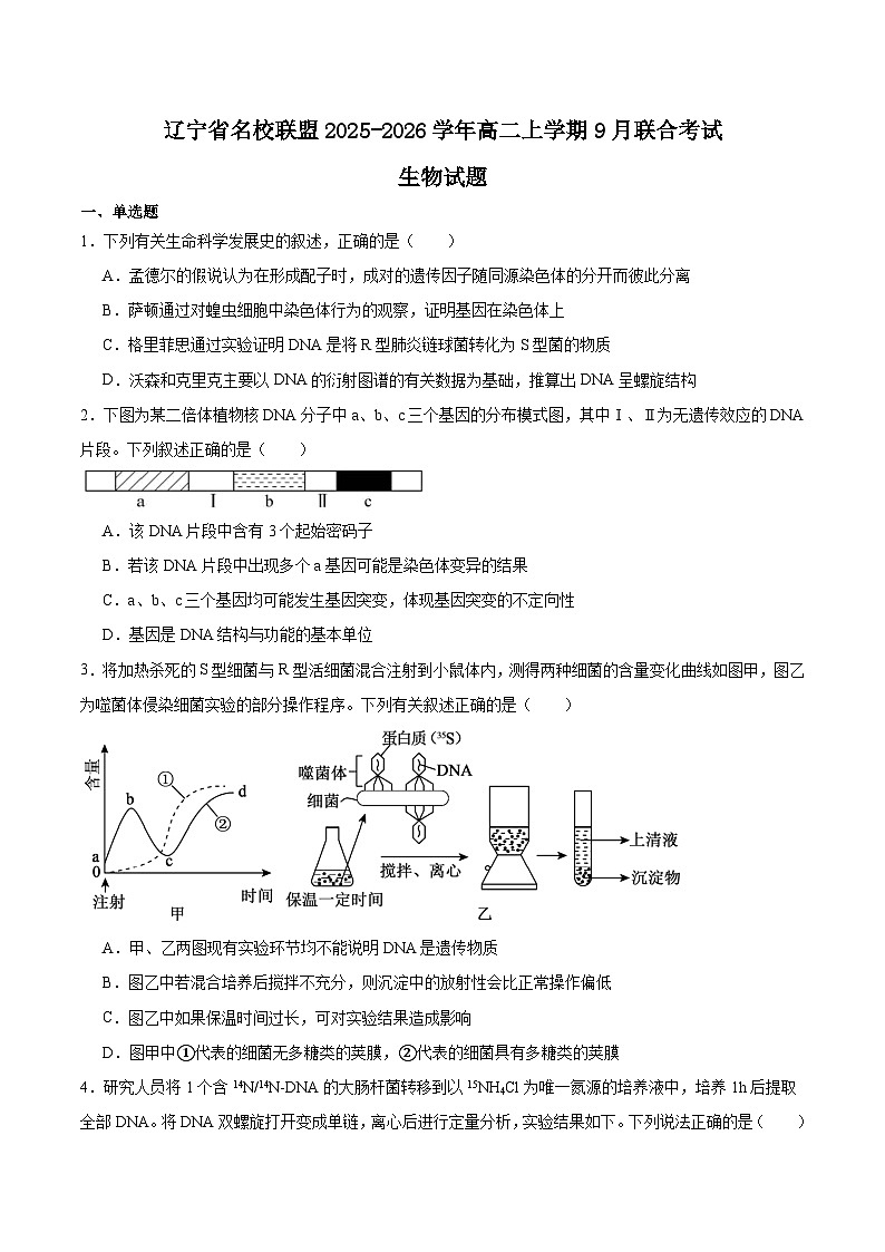 辽宁省名校联盟2025-2026学年高二上学期9月联合考试生物试卷（Word版附答案）第1页