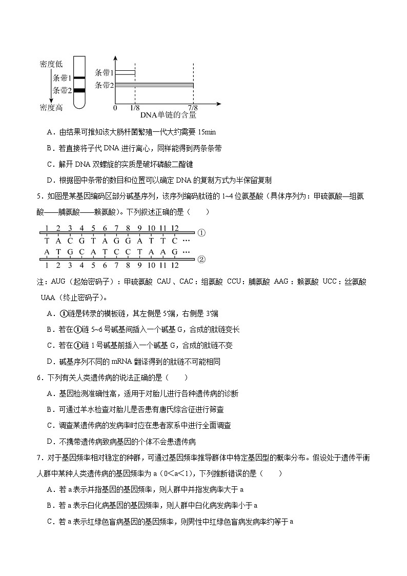 辽宁省名校联盟2025-2026学年高二上学期9月联合考试生物试卷（Word版附答案）第2页