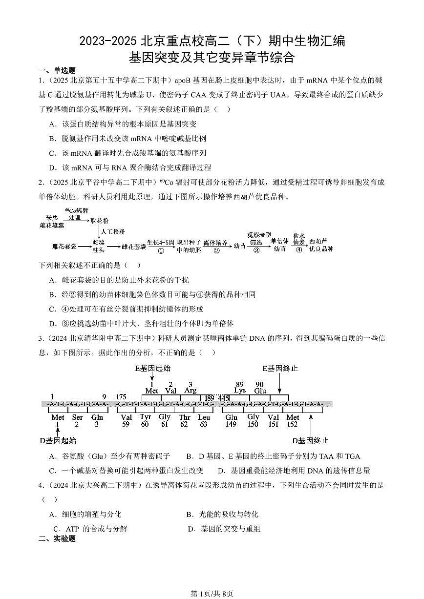 2023-2025北京重点校高二（下）期中生物汇编(试题)：基因突变及其它变异章节综合 有答案解析第1页