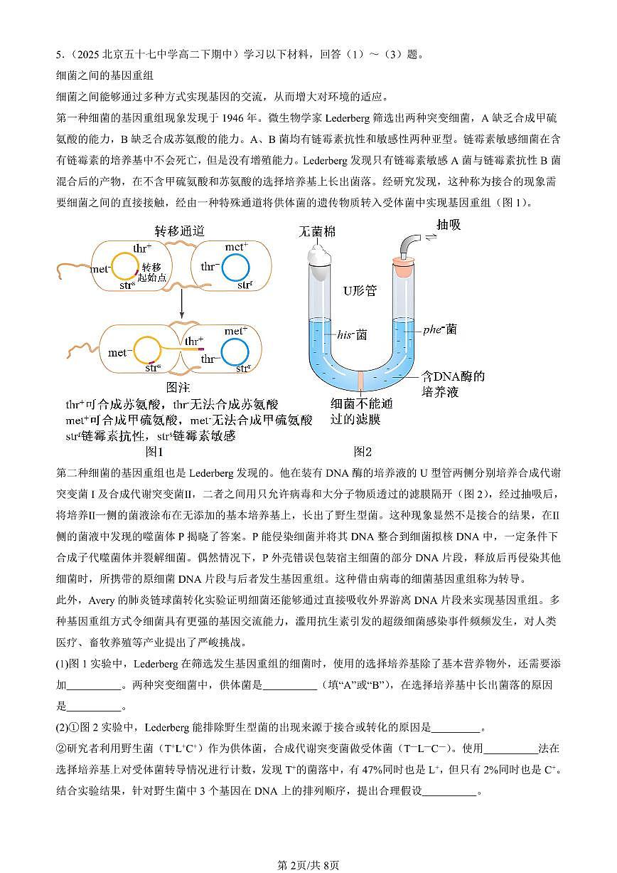 2023-2025北京重点校高二（下）期中生物汇编(试题)：基因突变及其它变异章节综合 有答案解析第2页