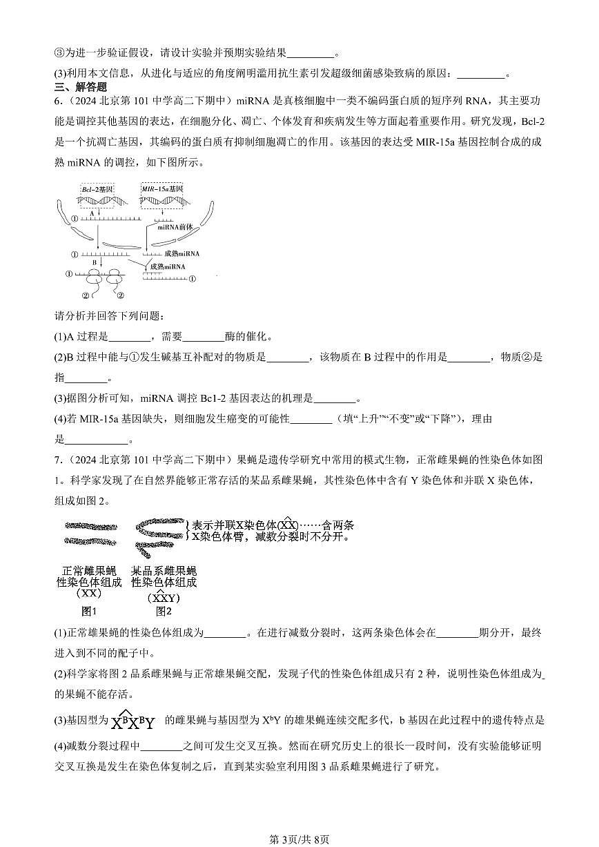 2023-2025北京重点校高二（下）期中生物汇编(试题)：基因突变及其它变异章节综合 有答案解析第3页