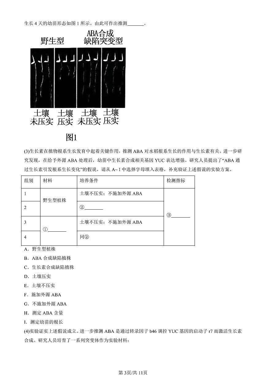 2023-2025北京重点校高二（下）期中生物汇编(试题)：植物生命活动的调节章节综合 有答案解析第3页
