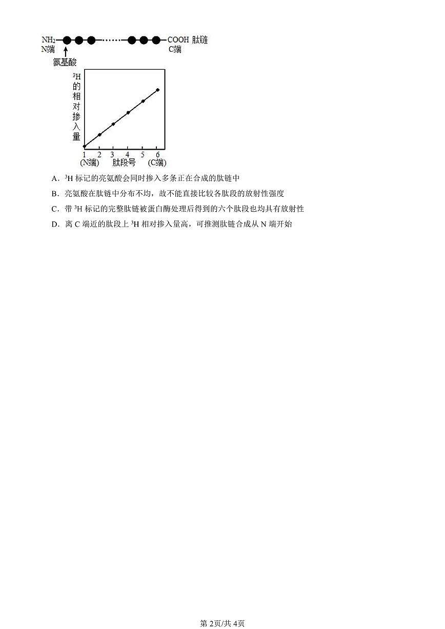 2023-2025北京重点校高二（下）期中生物汇编(试题)：组成细胞的分子章节综合 有答案解析第2页