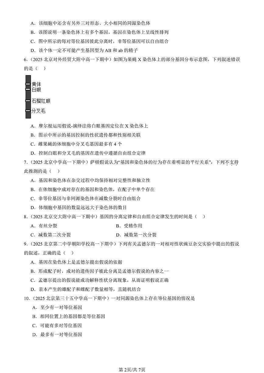2025北京重点校高一（下）期中生物汇编(试题)：基因在染色体上 有答案解析第2页