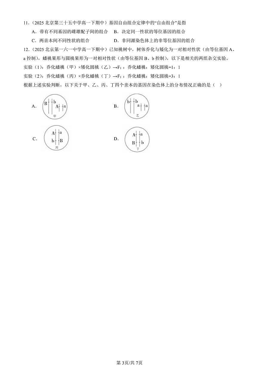 2025北京重点校高一（下）期中生物汇编(试题)：基因在染色体上 有答案解析第3页
