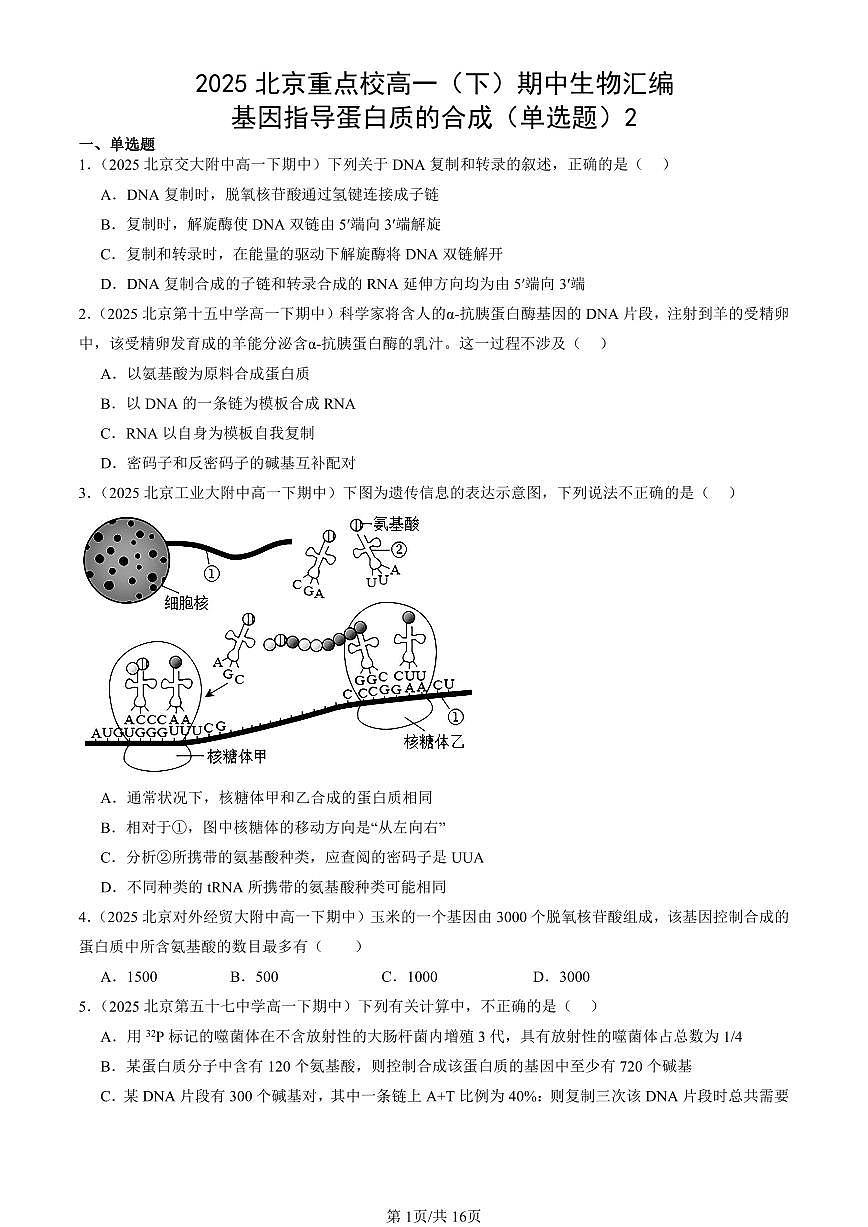 2025北京重点校高一（下）期中生物汇编(试题)：基因指导蛋白质的合成（单选题）2 有答案解析第1页