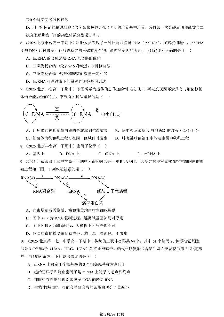 2025北京重点校高一（下）期中生物汇编(试题)：基因指导蛋白质的合成（单选题）2 有答案解析第2页