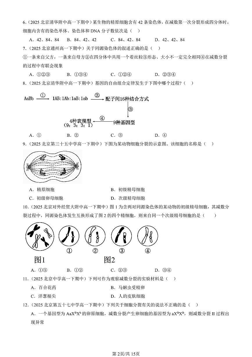 2025北京重点校高一（下）期中生物汇编(试题)：减数分裂和受精作用（单选题）1 有答案解析第2页
