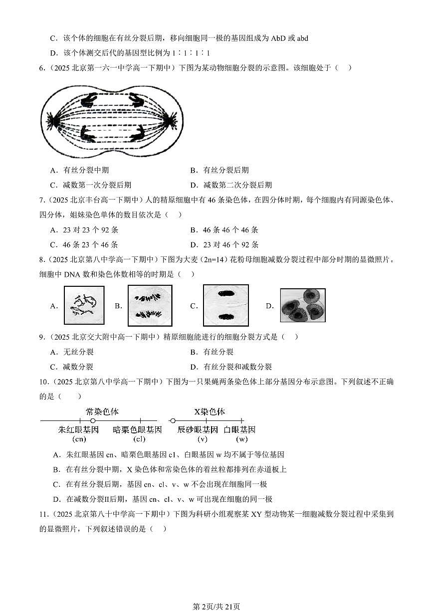 2025北京重点校高一（下）期中生物汇编(试题)：减数分裂和受精作用（单选题）2 有答案解析第2页