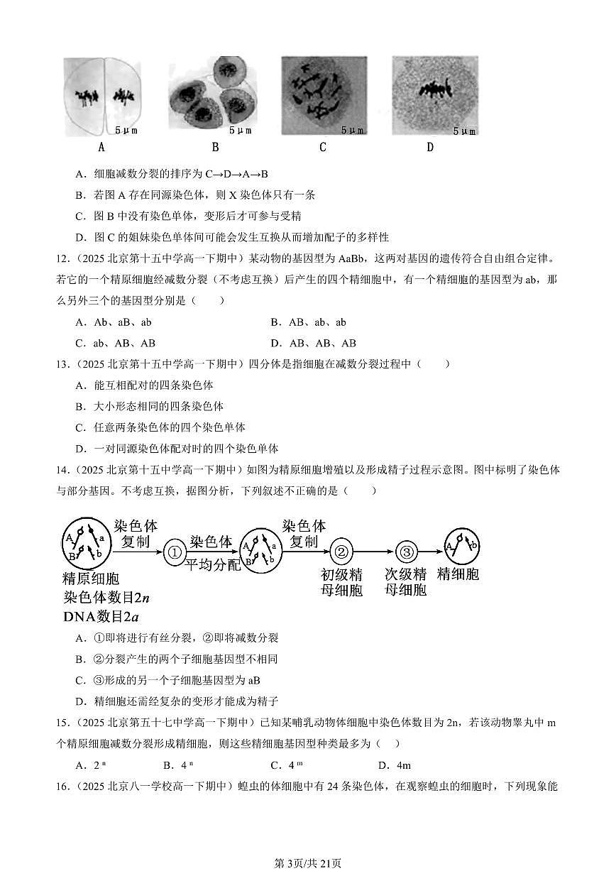 2025北京重点校高一（下）期中生物汇编(试题)：减数分裂和受精作用（单选题）2 有答案解析第3页