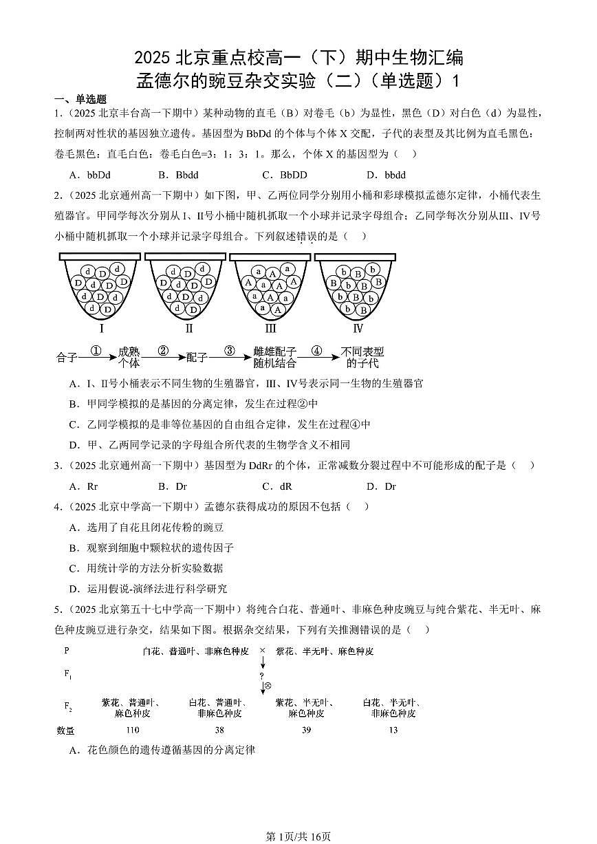 2025北京重点校高一（下）期中生物汇编(试题)：孟德尔的豌豆杂交实验（二）（单选题）1 有答案解析第1页