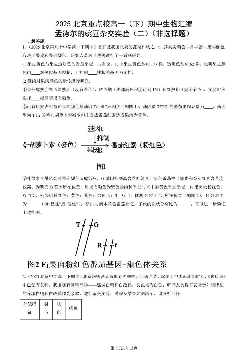 2025北京重点校高一（下）期中生物汇编(试题)：孟德尔的豌豆杂交实验（二）（非选择题） 有答案解析第1页