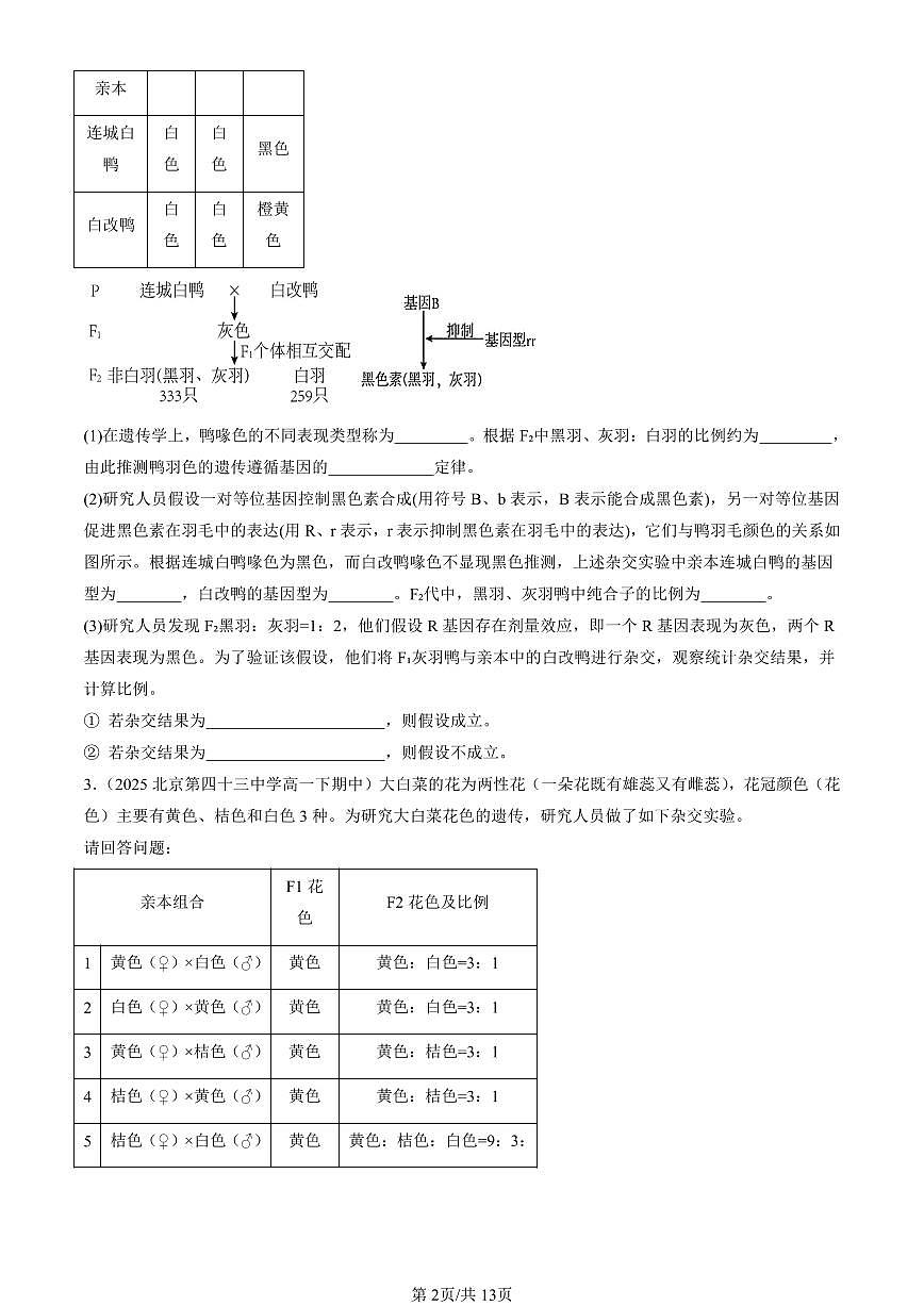 2025北京重点校高一（下）期中生物汇编(试题)：孟德尔的豌豆杂交实验（二）（非选择题） 有答案解析第2页