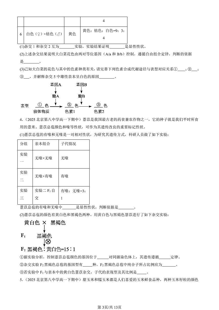 2025北京重点校高一（下）期中生物汇编(试题)：孟德尔的豌豆杂交实验（二）（非选择题） 有答案解析第3页