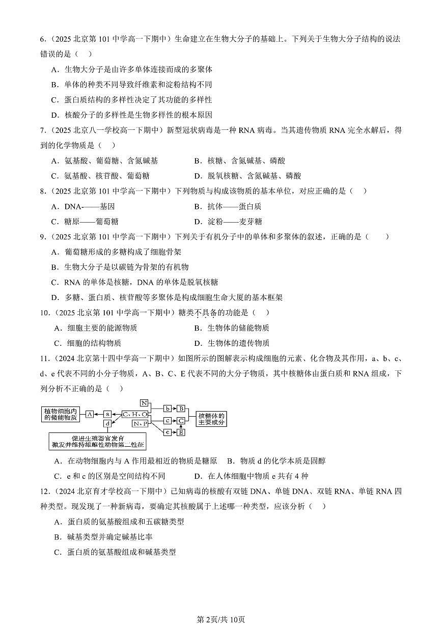 2023-2025北京重点校高一（下）期中生物汇编(试题)：核酸是遗传信息的携带者 有答案解析第2页
