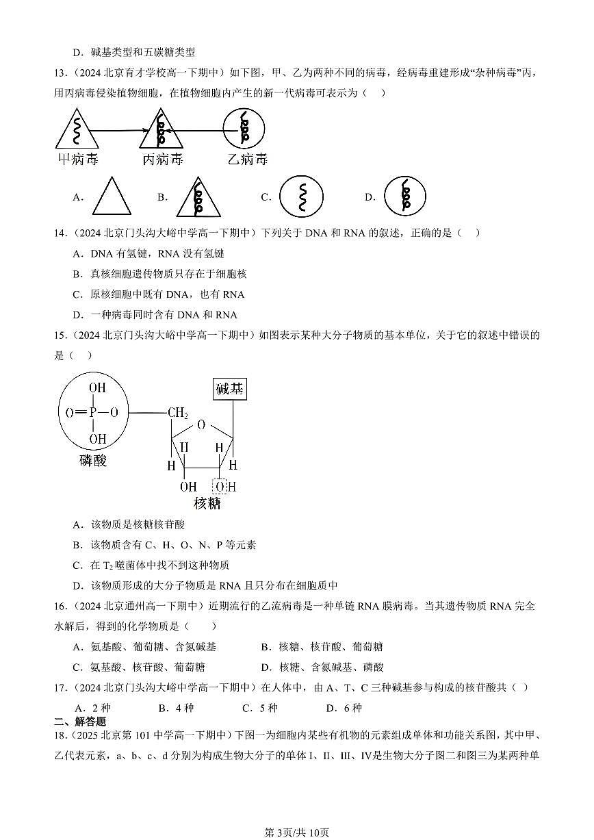 2023-2025北京重点校高一（下）期中生物汇编(试题)：核酸是遗传信息的携带者 有答案解析第3页
