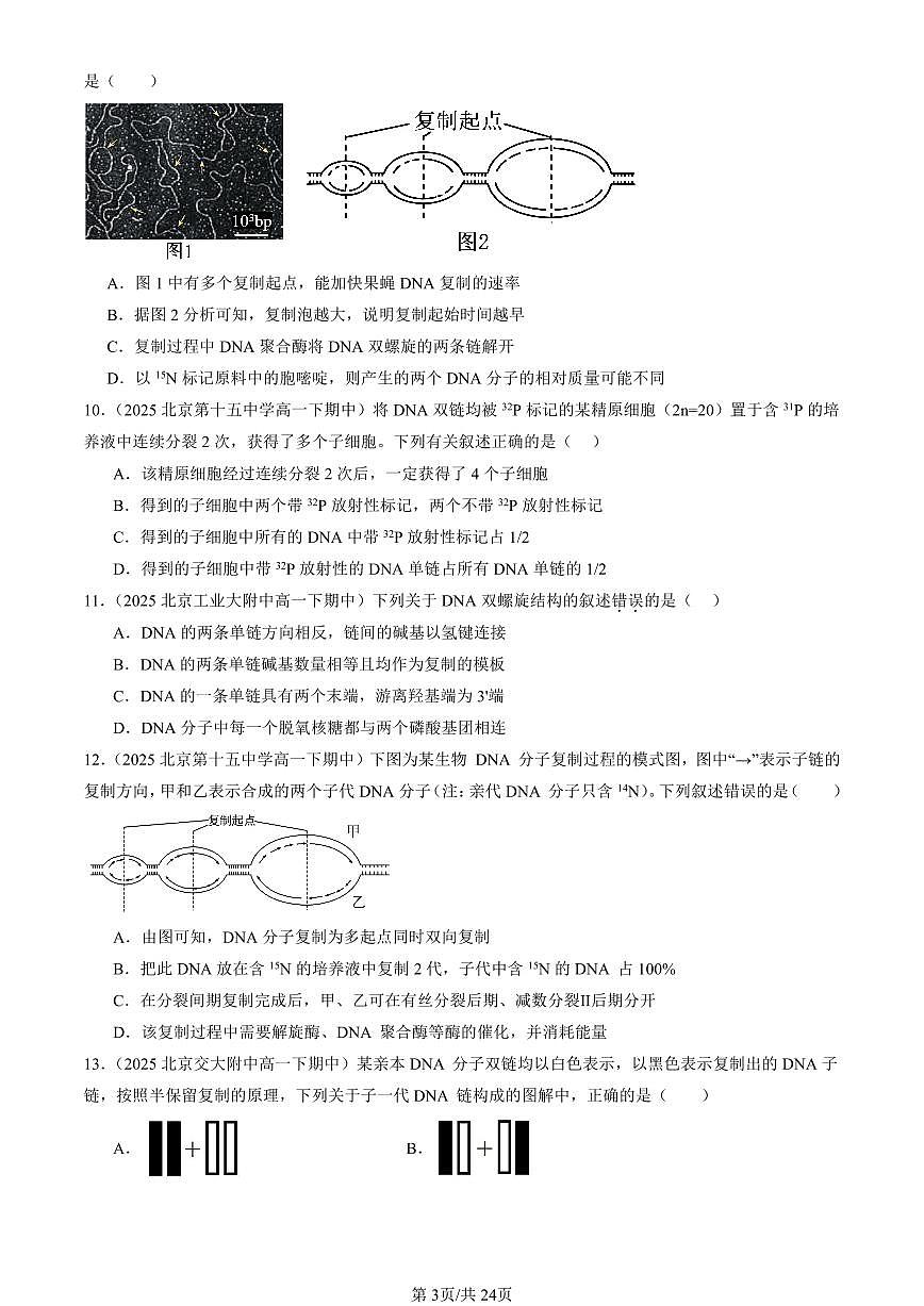 2025北京重点校高一（下）期中生物汇编(试题)：DNA的复制（单选题） 有答案解析第3页