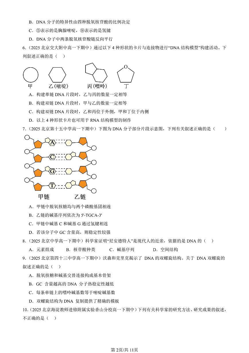 2025北京重点校高一（下）期中生物汇编(试题)：DNA的结构 有答案解析第2页