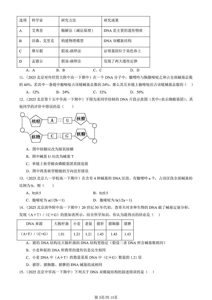 2025北京重点校高一（下）期中生物汇编(试题)：DNA的结构 有答案解析第3页